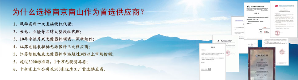 南京南山半导体有限公司